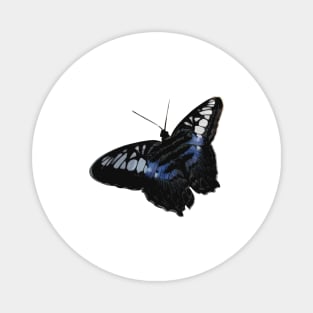 Blue and Black Butterfly Sticker Magnet